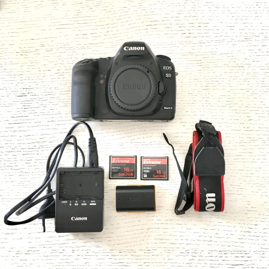 shutter count canon 5d mark ii online shutter count canon 5d mark ii online