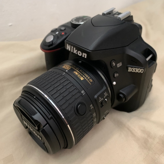 Nikon D3300